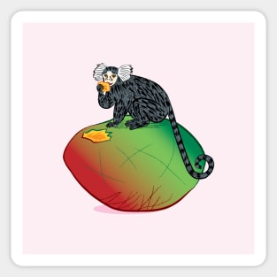 The Marmoset and the Mango Sticker